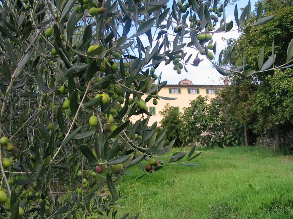 Hotel Relais Palazzo Di Luglio Сансеполкро Екстериор снимка